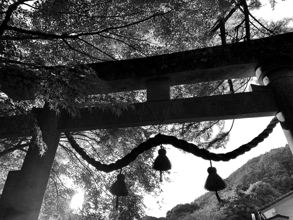 shutterstock_1523550623_mono